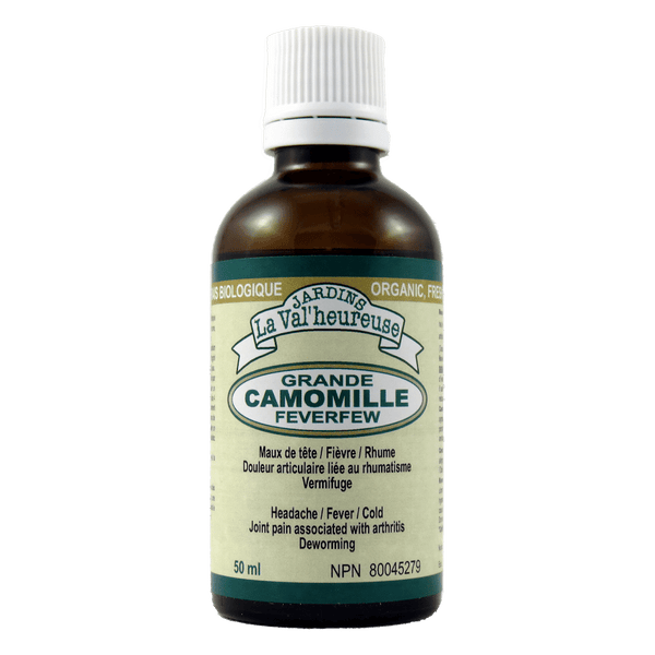 Grande camomille