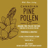 Teinture de pollen de pin bio - double extrait image 2