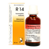 R14 image 1