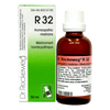 R32 image 1