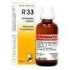 R33 image 1
