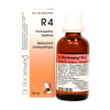 R4 image 1