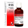 R55 image 1