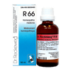 R66 image 1