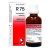 R75 image 1