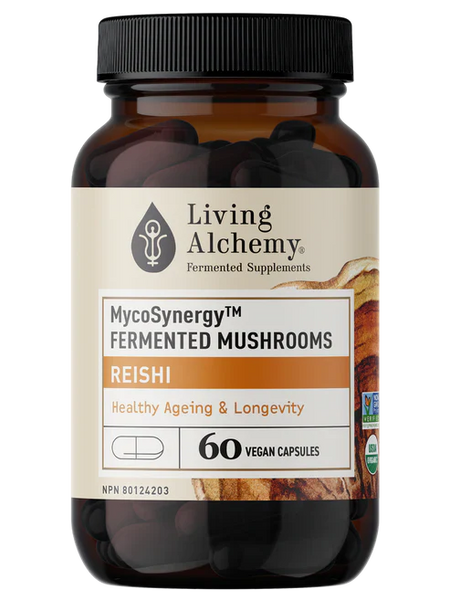 Reishi