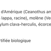 Tonique lymphatique image 2