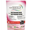 Astaxanthin image 1