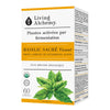 Living Holy Basil image 1