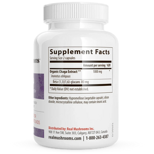 Chaga Extract