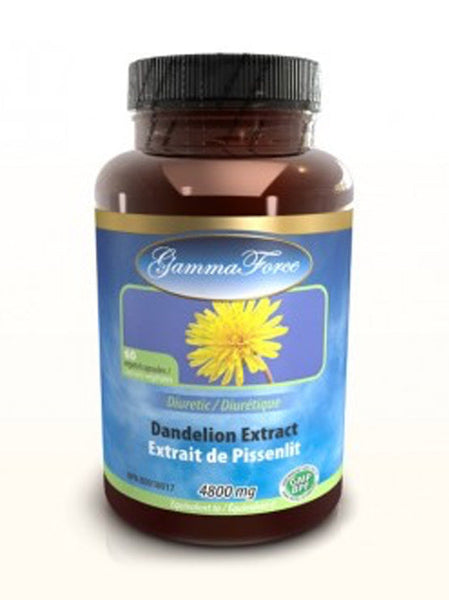 Dandelion extract
