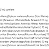 Hépato-VM image 2