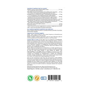 TermiDM (Blood Glucose Control)