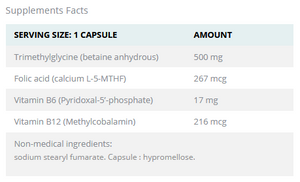 MethylPlus