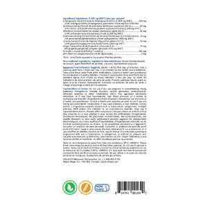 Defenxin (Formule de soulagement du rhume et de la grippe)
