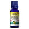 Bergamot FCF (Bergaptene Free) Organic. image 1