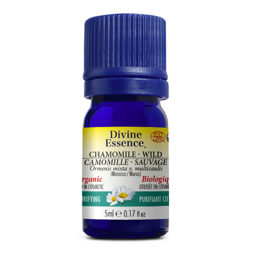 Wild Chamomile (Morocco) Organic