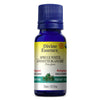 Organic White Spruce. image 1