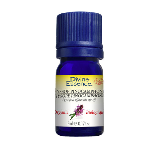 Hyssop Pinocamphone Organic