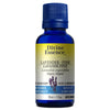Fine Lavender Conv. image 2