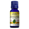 Yakima Valley Organic Peppermint. image 1