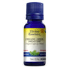 Organic Green Oregano. image 1