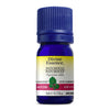 Patchouly Light Conv. image 1