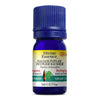 Organic Balsam Poplar. image 1