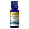 Organic Hemlock. image 1