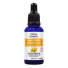 St. John's Wort - Macerate * Organic. image 1