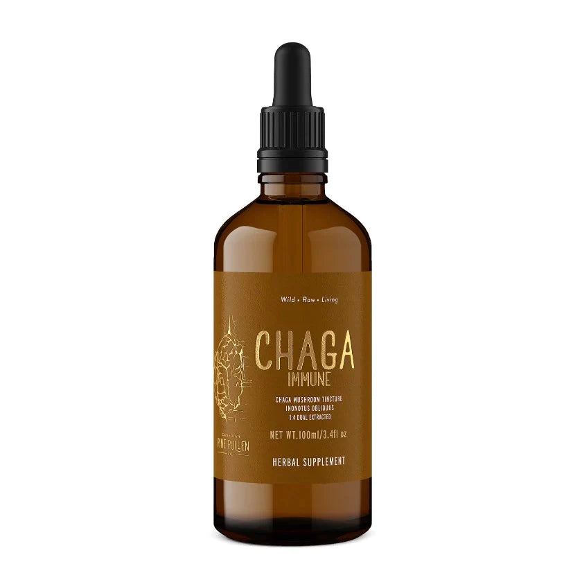 Wild Chaga Immunity
