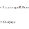 Échinacée Plus enfants image 3