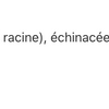 Échinacée Plus image 2