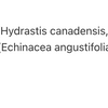 EchinaSealMD image 4