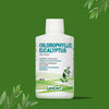 Liquid Chlorophyll image 2