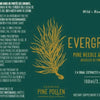 Evergreen C - Pine Needle and Spruce Tip Dye image 2