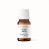HE aiguille de pin blanc Zayat Aroma image 1