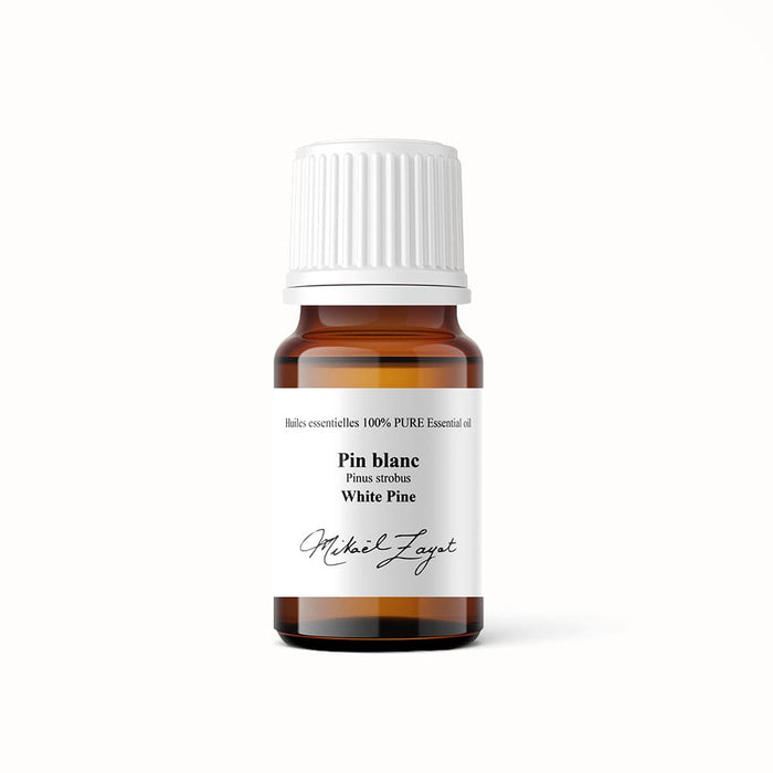 White Pine Needle Essential Oil