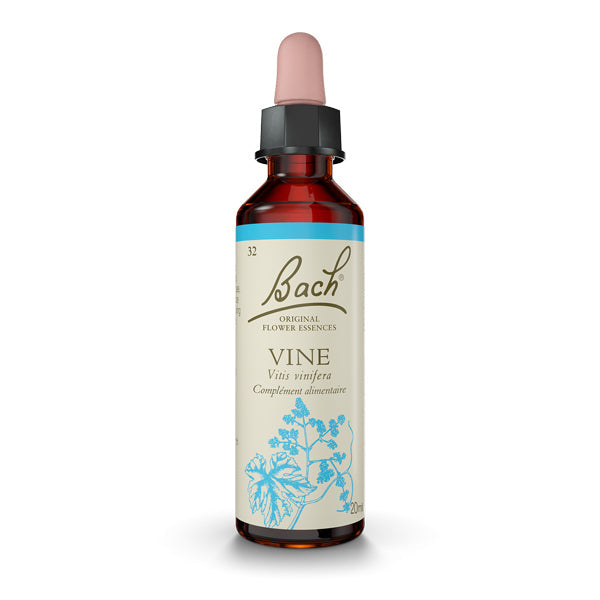 Vine - Vine