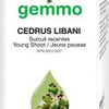 Cedrus libani  image 1