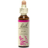 Elm - Orme image 1