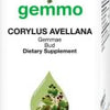 Corylus avellana  image 1