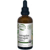 Astragalus image 3