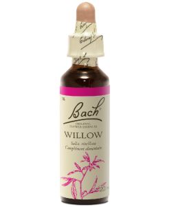 Willow - Willow