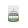 Turkey Tail (Powder) image 1
