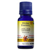 Organic Star Anise. image 1