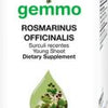 Rosmarinus officinalis  image 2