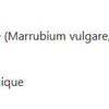 Marrube blanc image 2