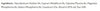 Myalaid image 3