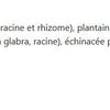 RespirafectMD image 2